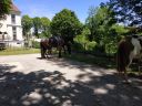 Filename=IMG_20190601_134322.jpg
Filesize=1251KiB
Dimensions=2048x1536
Date added=Jun 04, 2019 IMG_20190601_134322.jpg