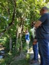 Filename=IMG_20190601_155007.jpg
Filesize=1578KiB
Dimensions=1536x2048
Date added=Jun 04, 2019 IMG_20190601_155007.jpg